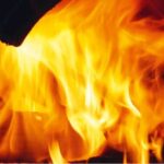 Chaudière bois à gazéification Domusa LIGNUM IB 30 – Image 4